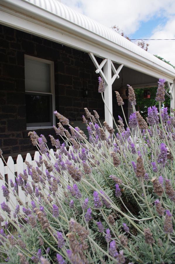 Little River Bed And Breakfast Exterior photo